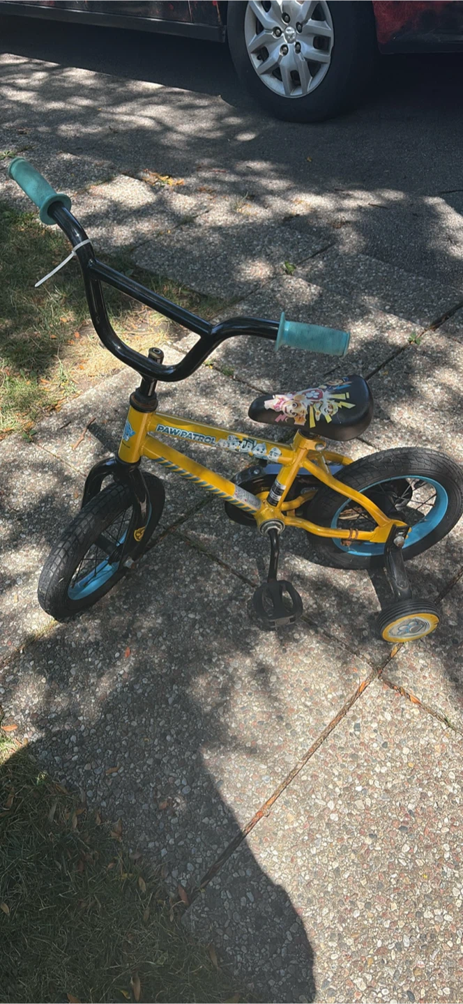 Paw Patrol Kids Tricycle
