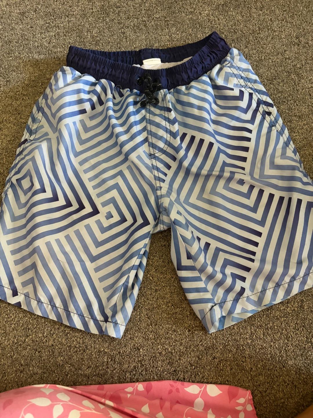 Mens Swimtrucks