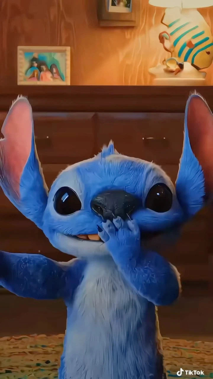 Stitch plush toy