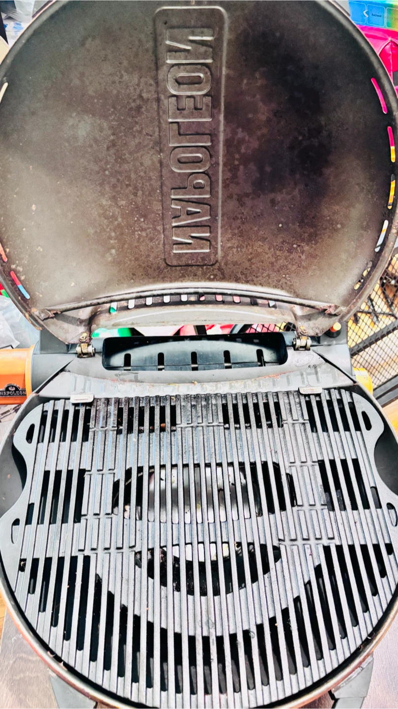 Napoleon Travel Q Portable Gas Grill - photo 3