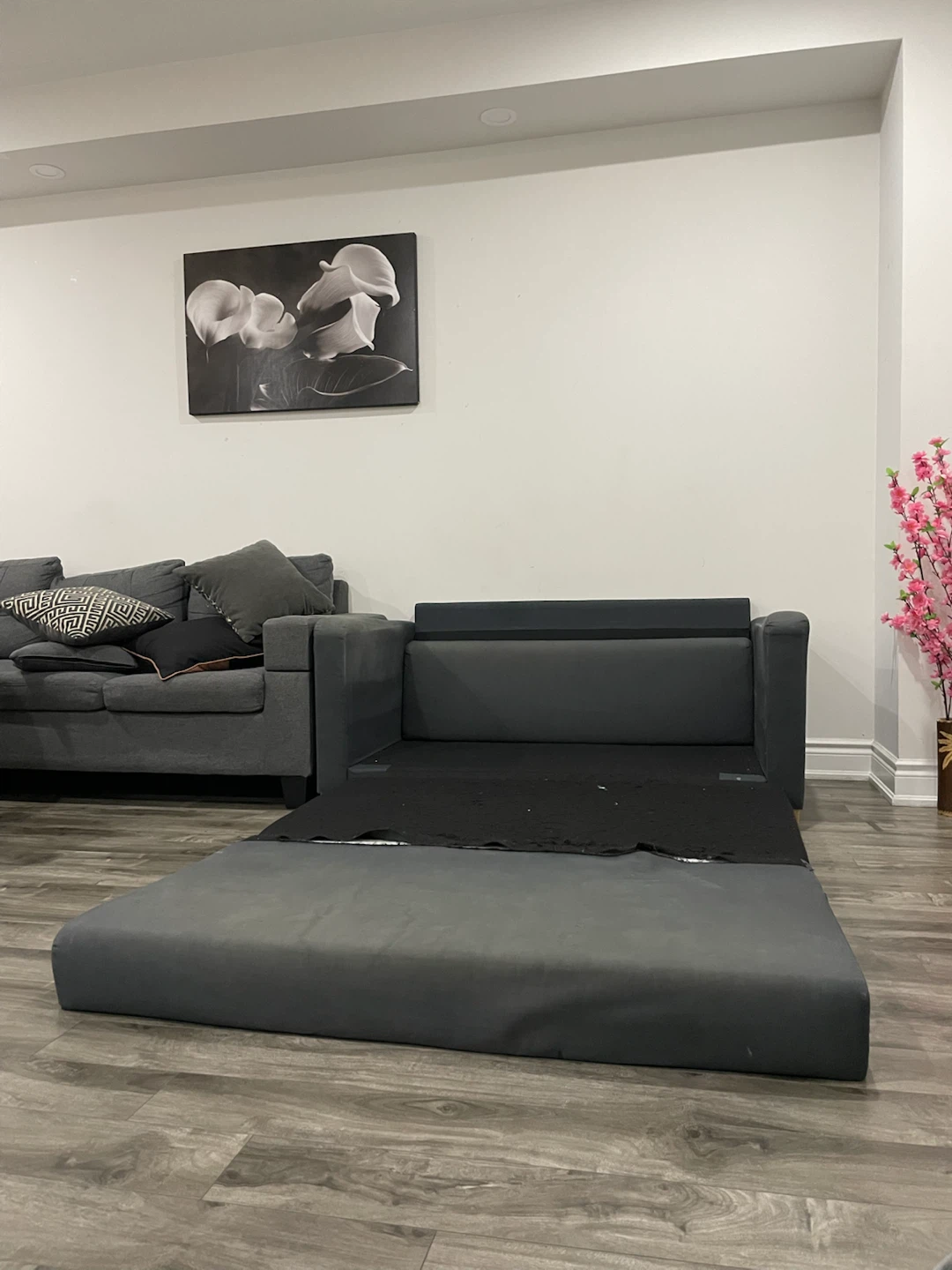 Dark Grey Sofa Bed with Two Throw Pillows - photo 3