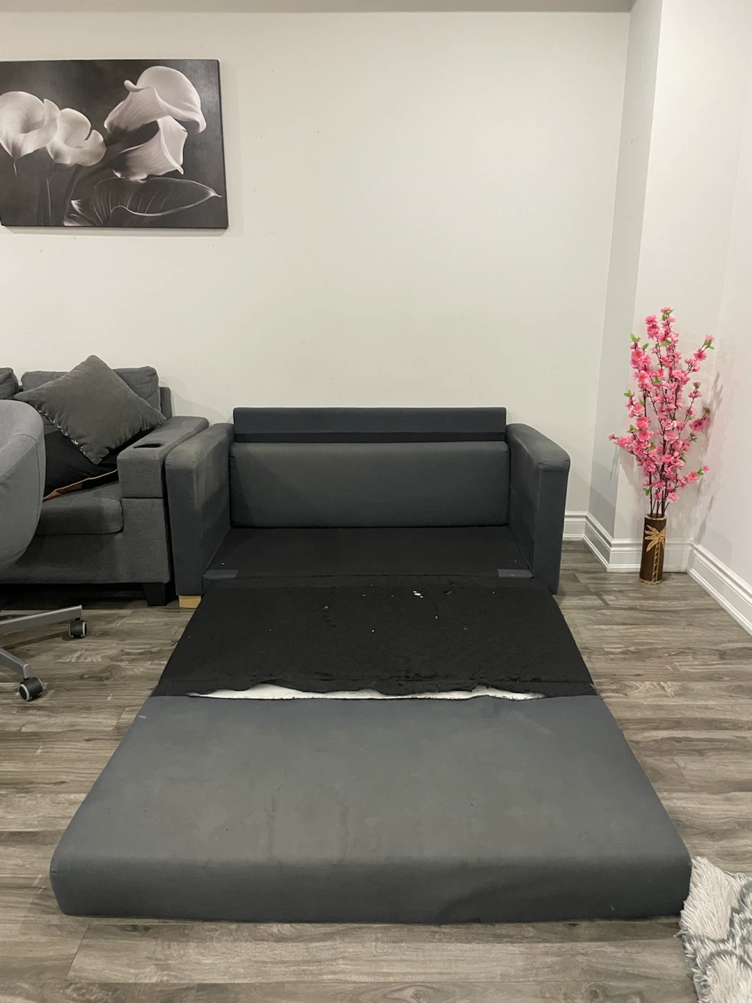 Dark Grey Sofa Bed with Two Throw Pillows - photo 4