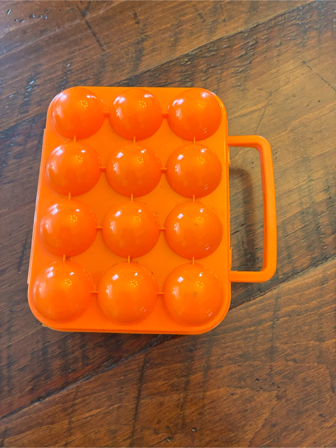 Orange 12 Egg Holder Case
