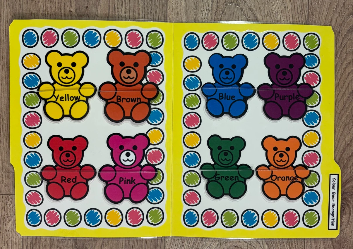 Colour Match Bear Activity