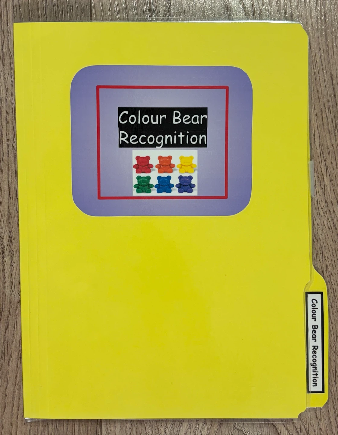 Colour Match Bear Activity - photo 3