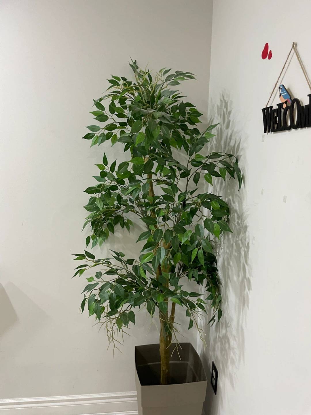 Artificial Ficus Tree in Pot - photo 5