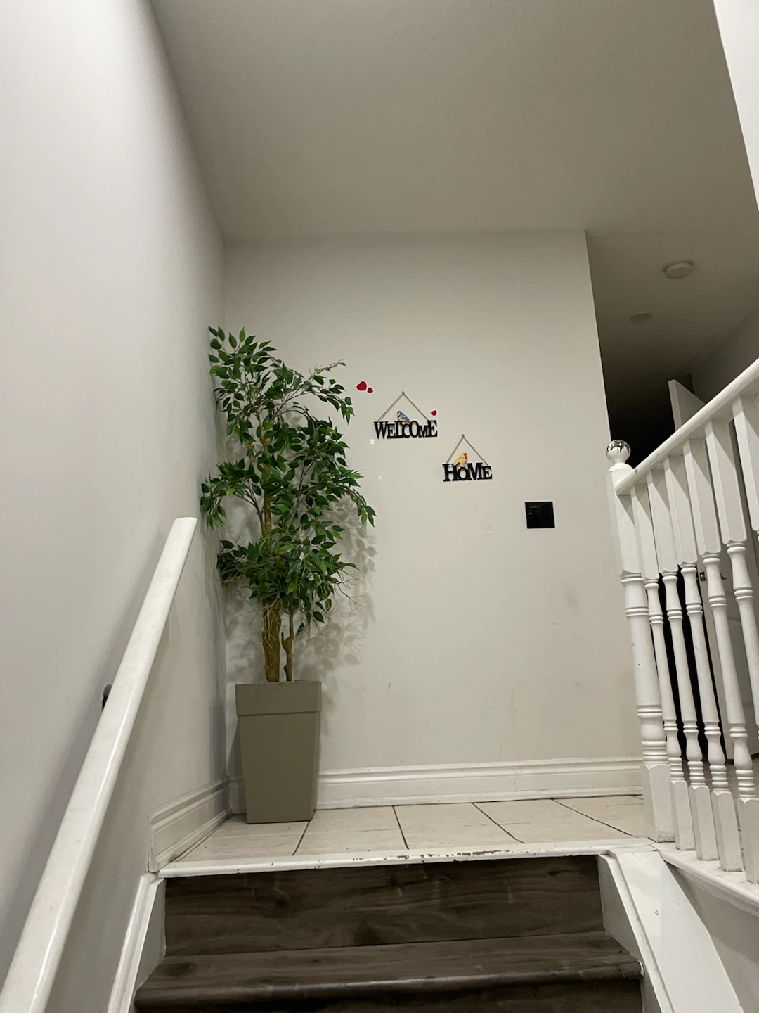 Artificial Ficus Tree in Pot - photo 2