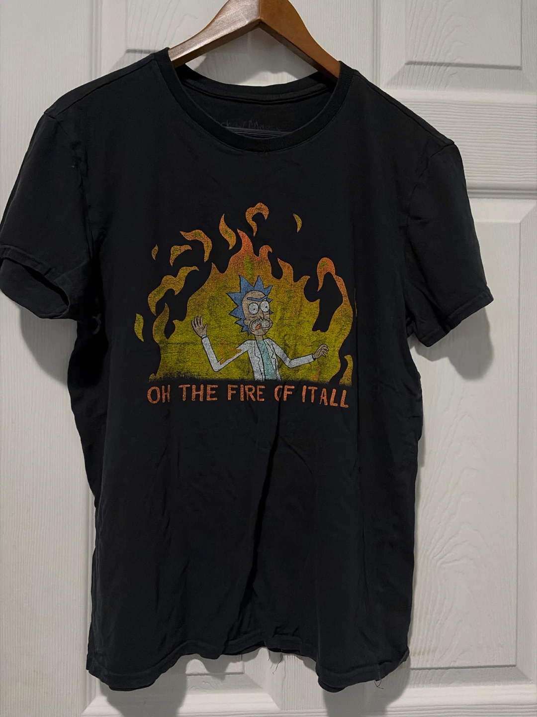 Rick and Morty "Oh the Fire of It All" T-Shirt - Size L
