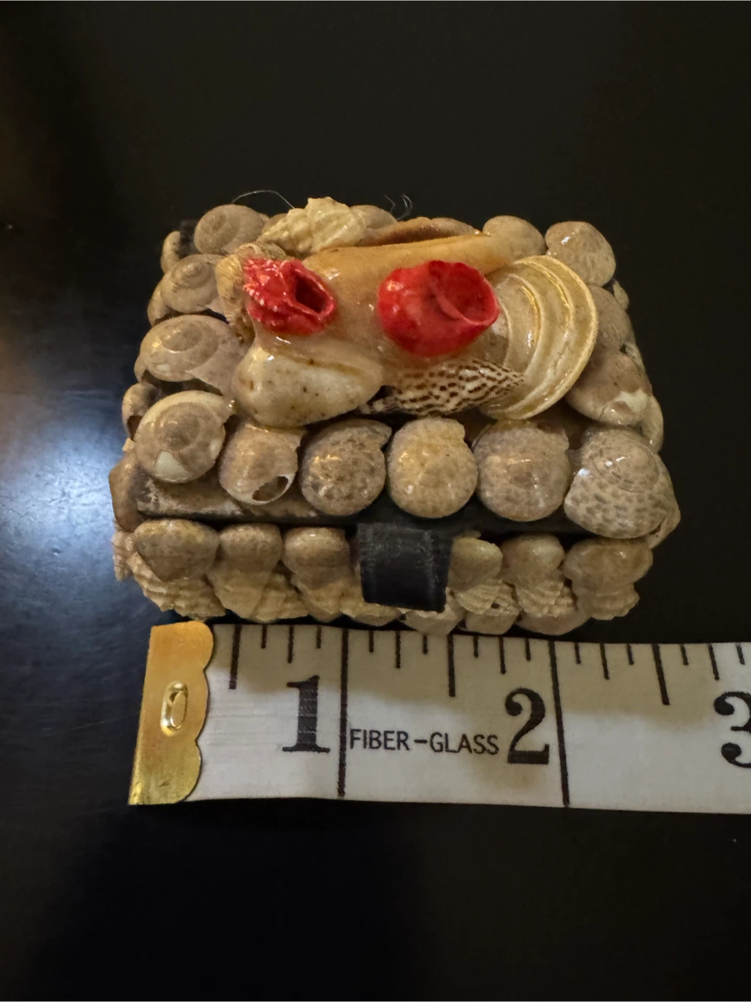 Seashell Trinket Box