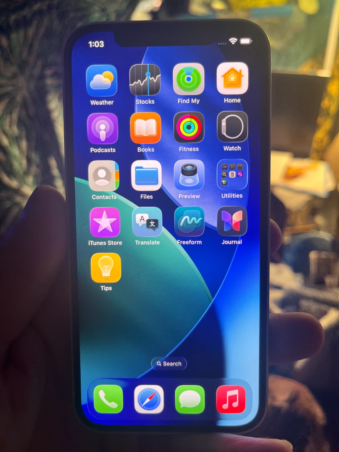 Apple iPhone 12