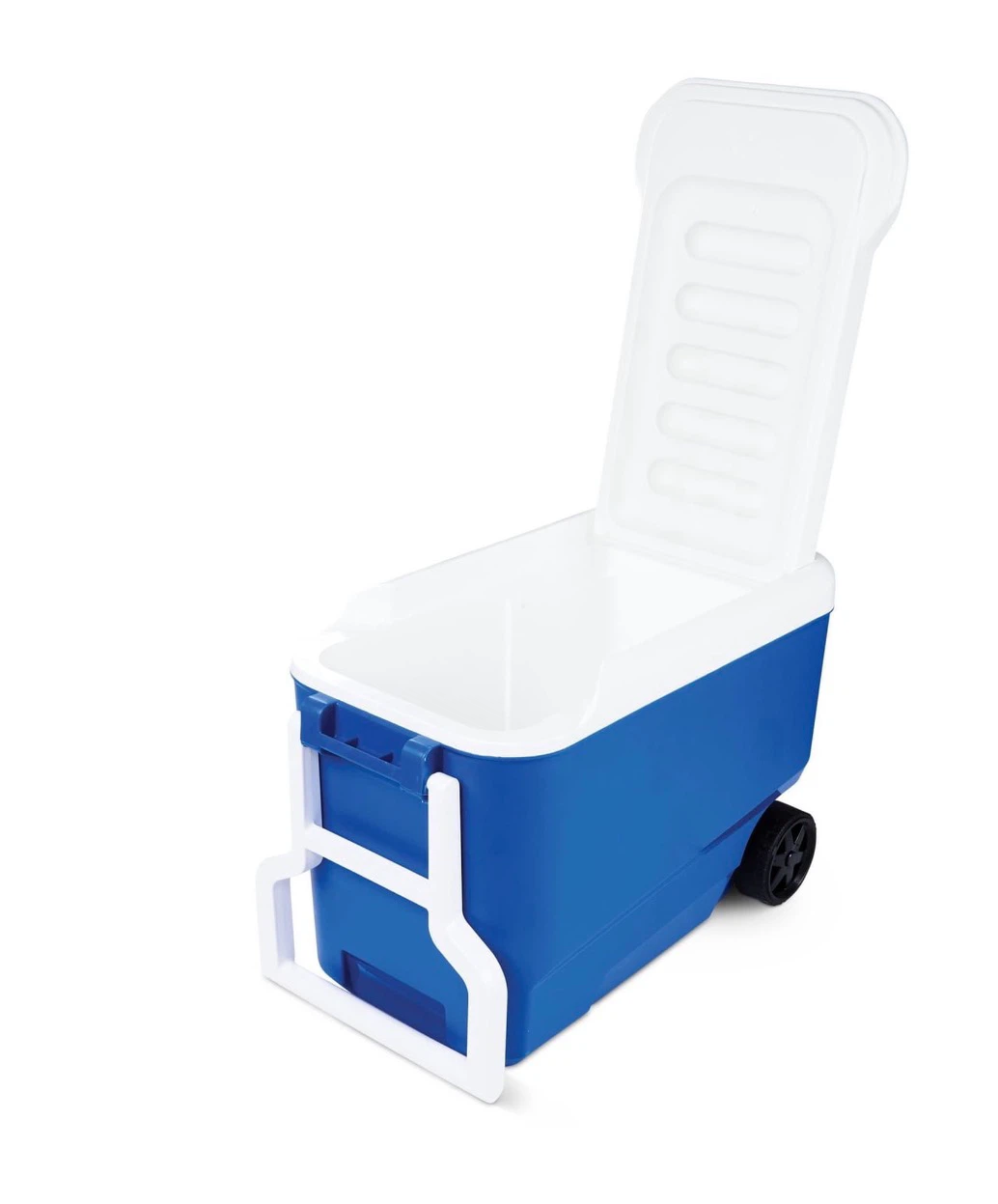 Camping cooler