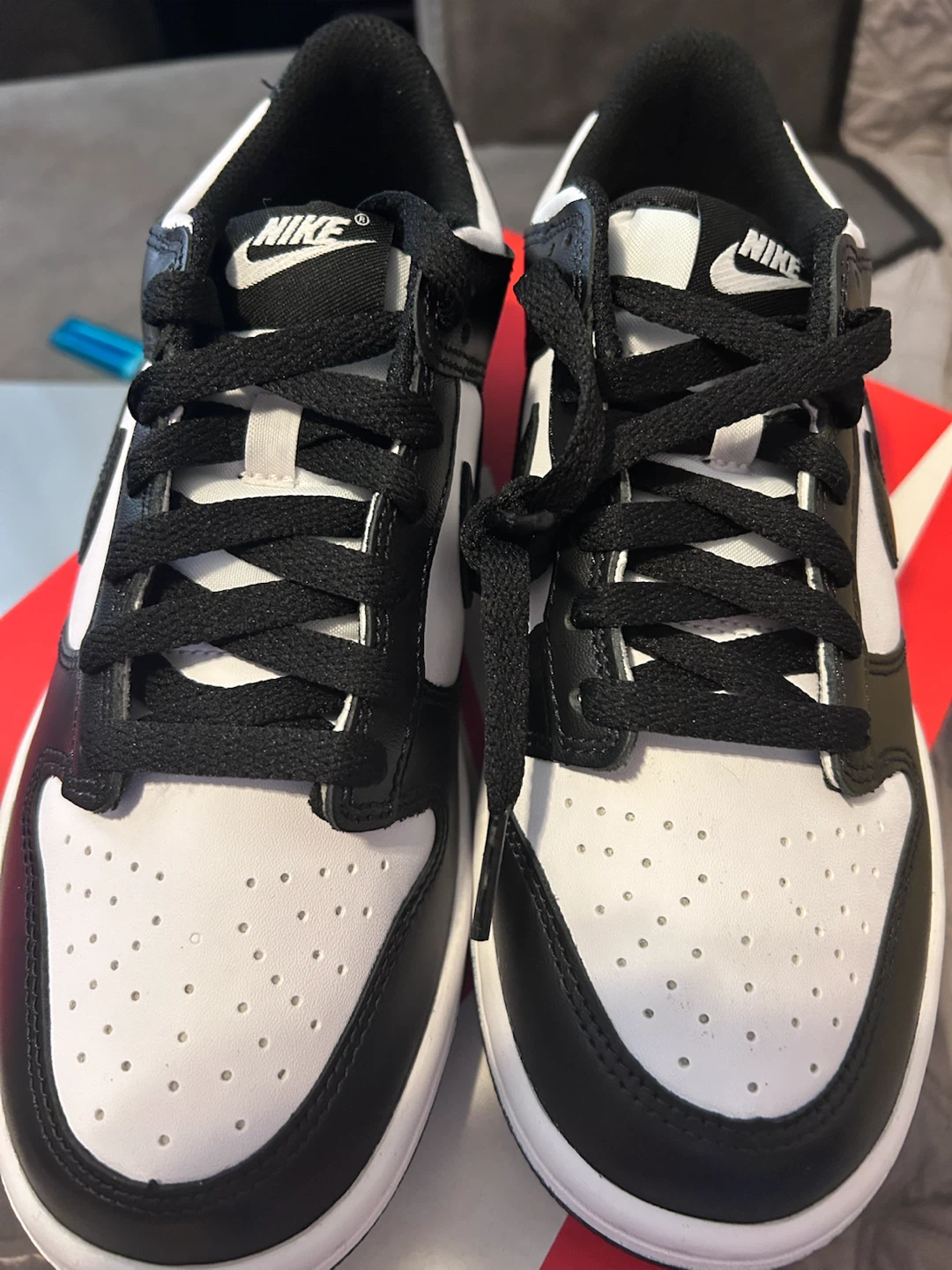 Nike Dunk Low Boys Shoes