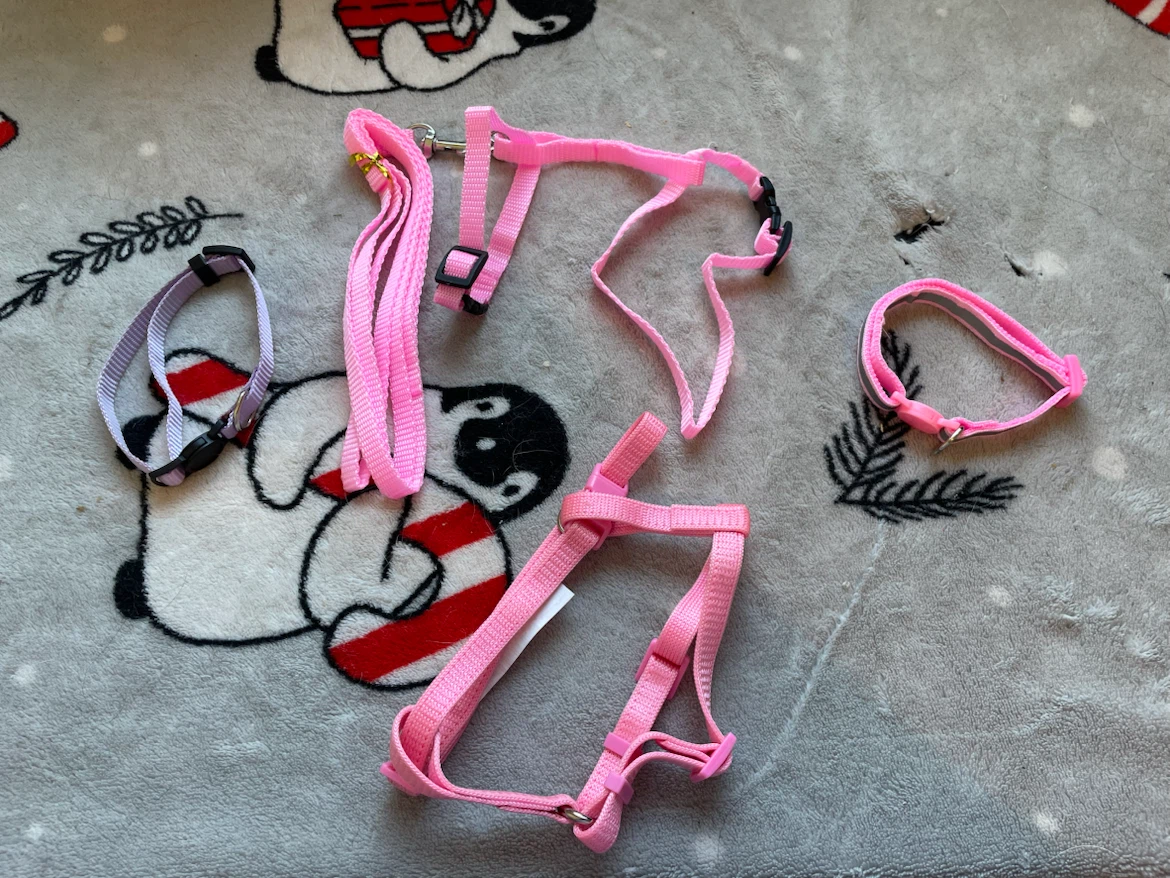Cat Harnesses, Leash & Collar Set
