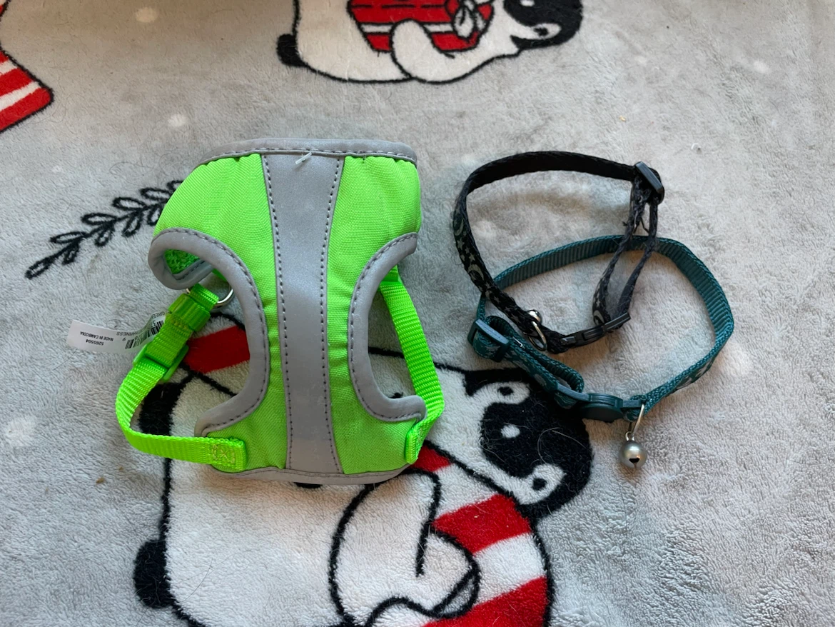 Cat Harness & Collars Set