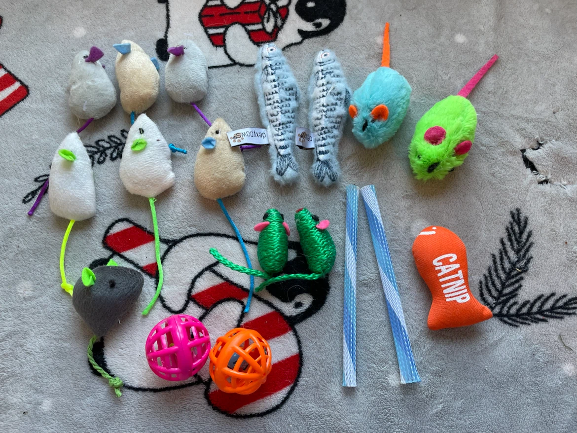 Cat/Kitten Toys