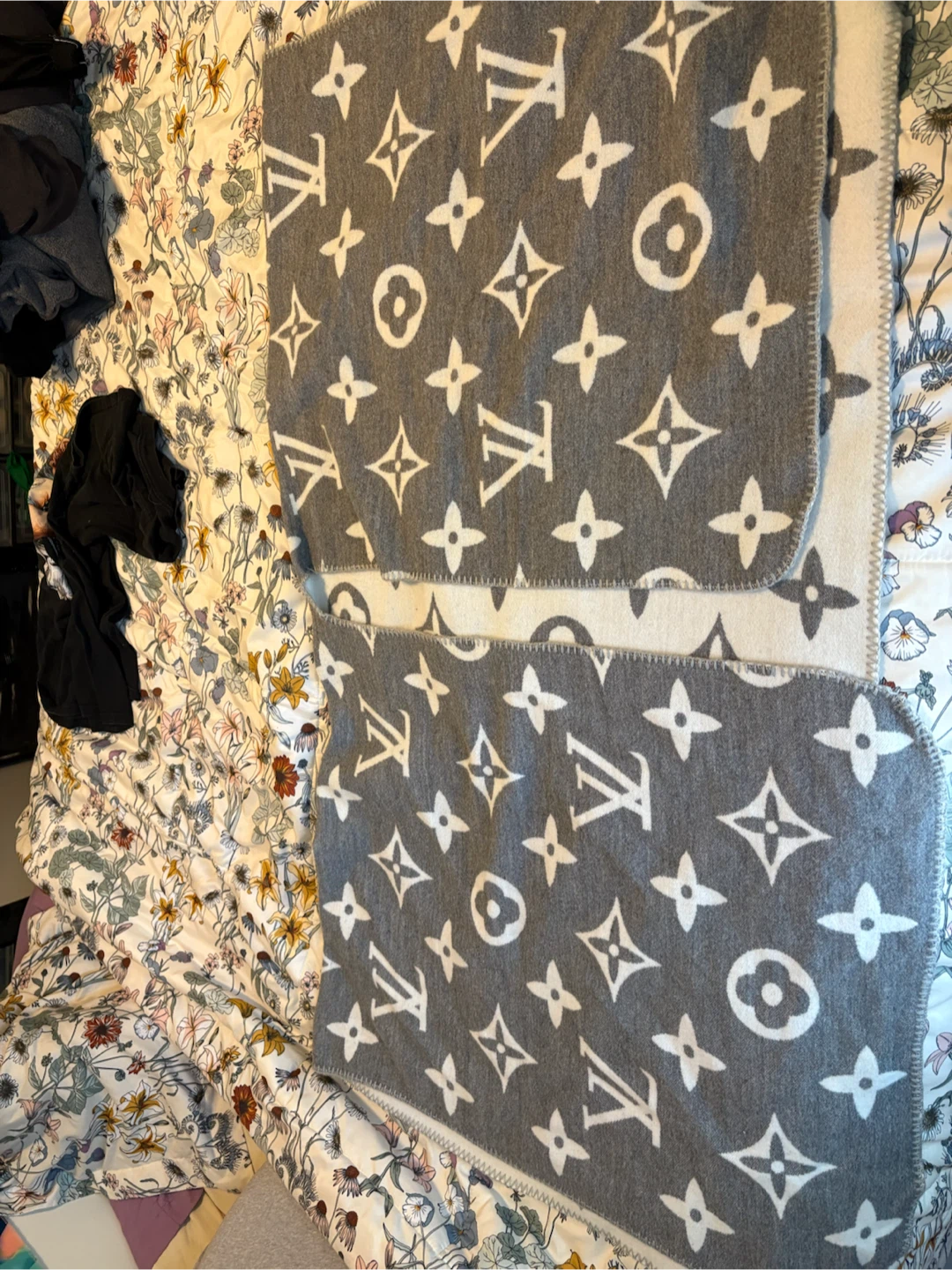 Louis Vuitton Monogram Blanket/Shawl