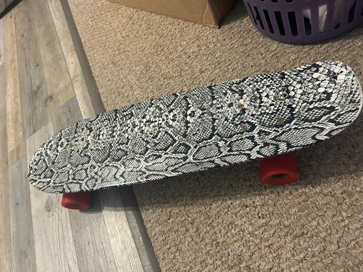 penny skateboard