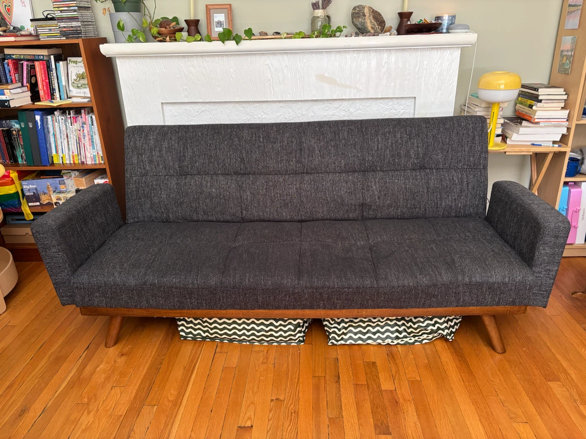 FREE Sleeper Sofa!