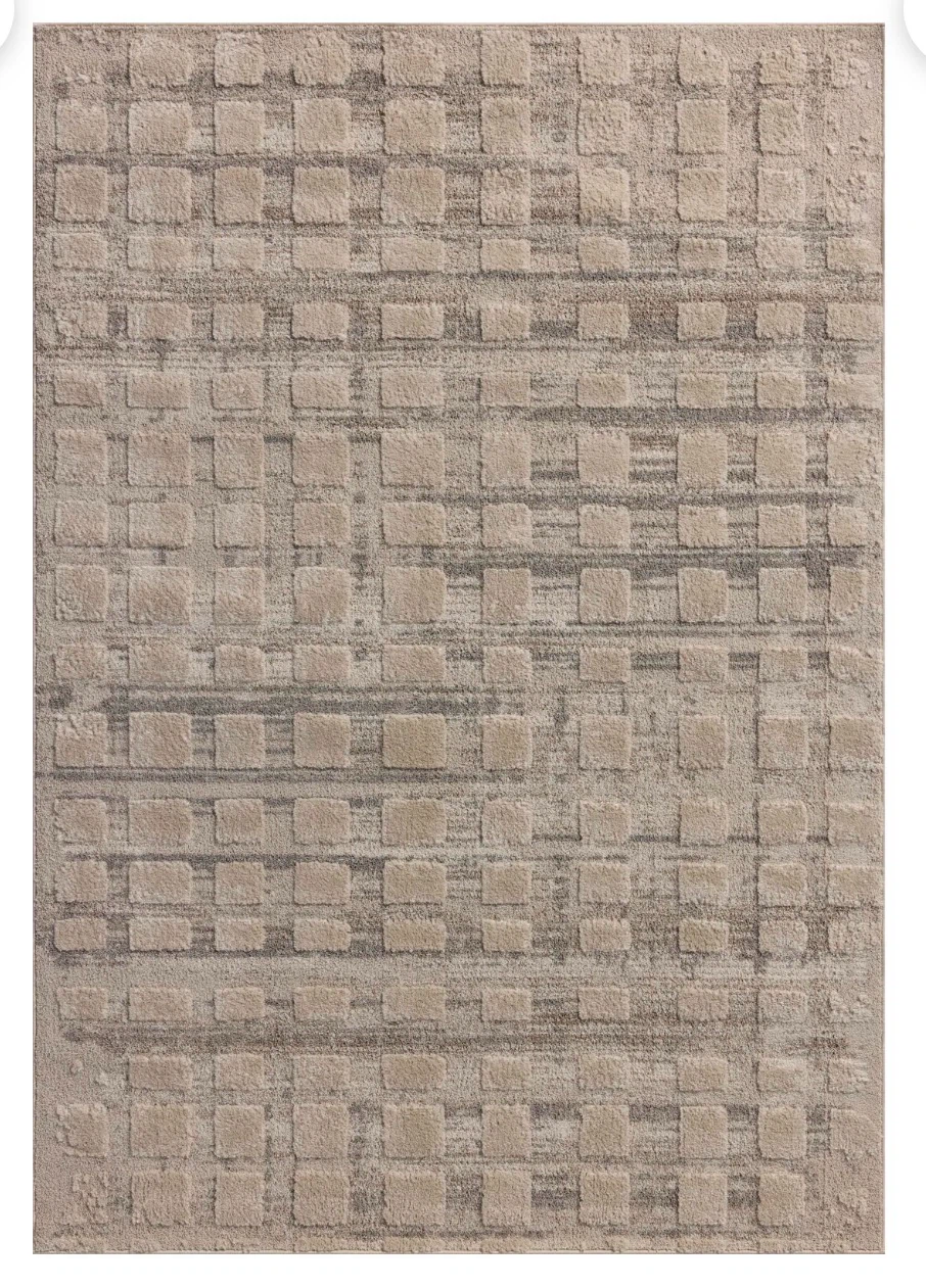 Area Rug Carpet