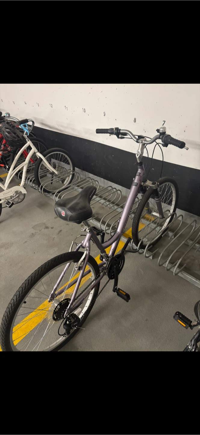 Schwinn Women's Cruiser Bike