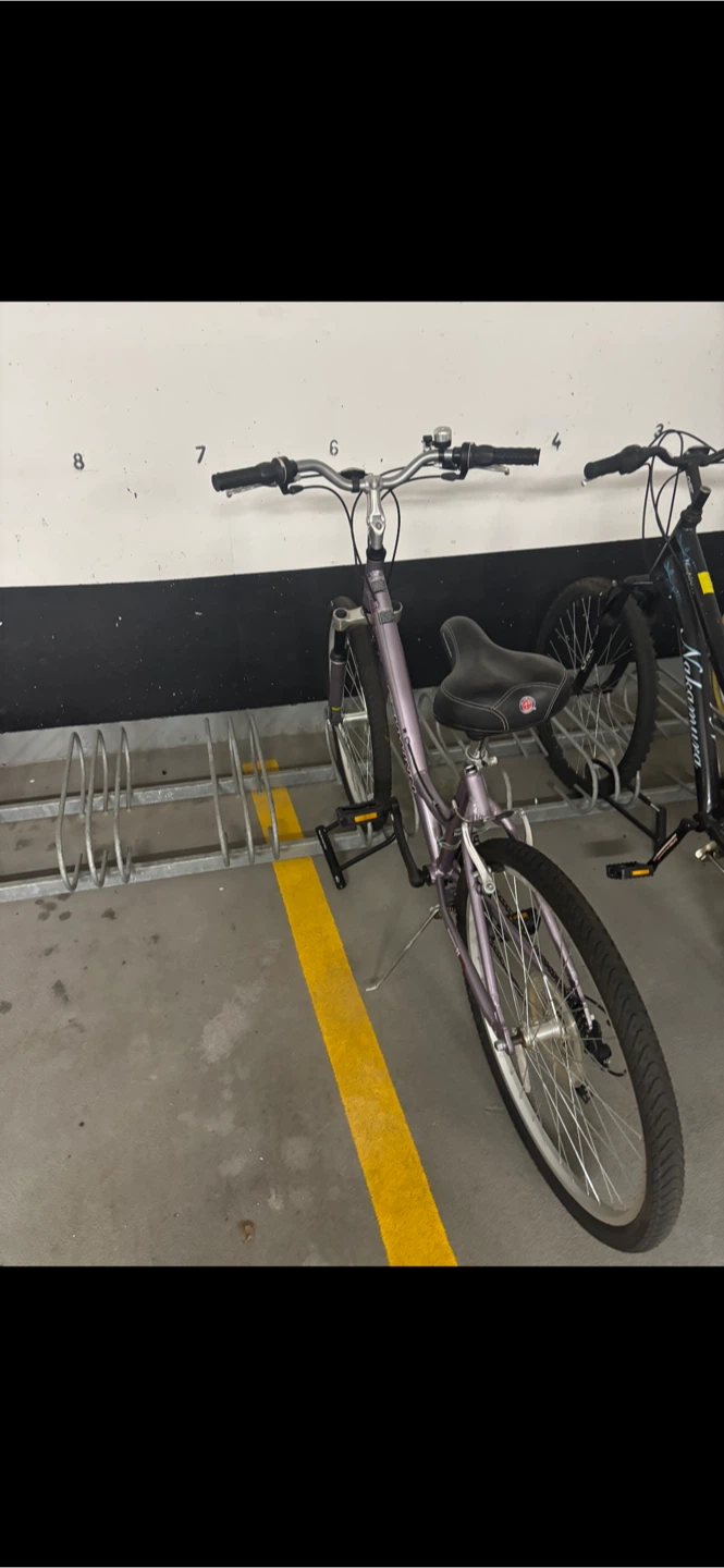 Schwinn Women's Cruiser Bike - photo 2