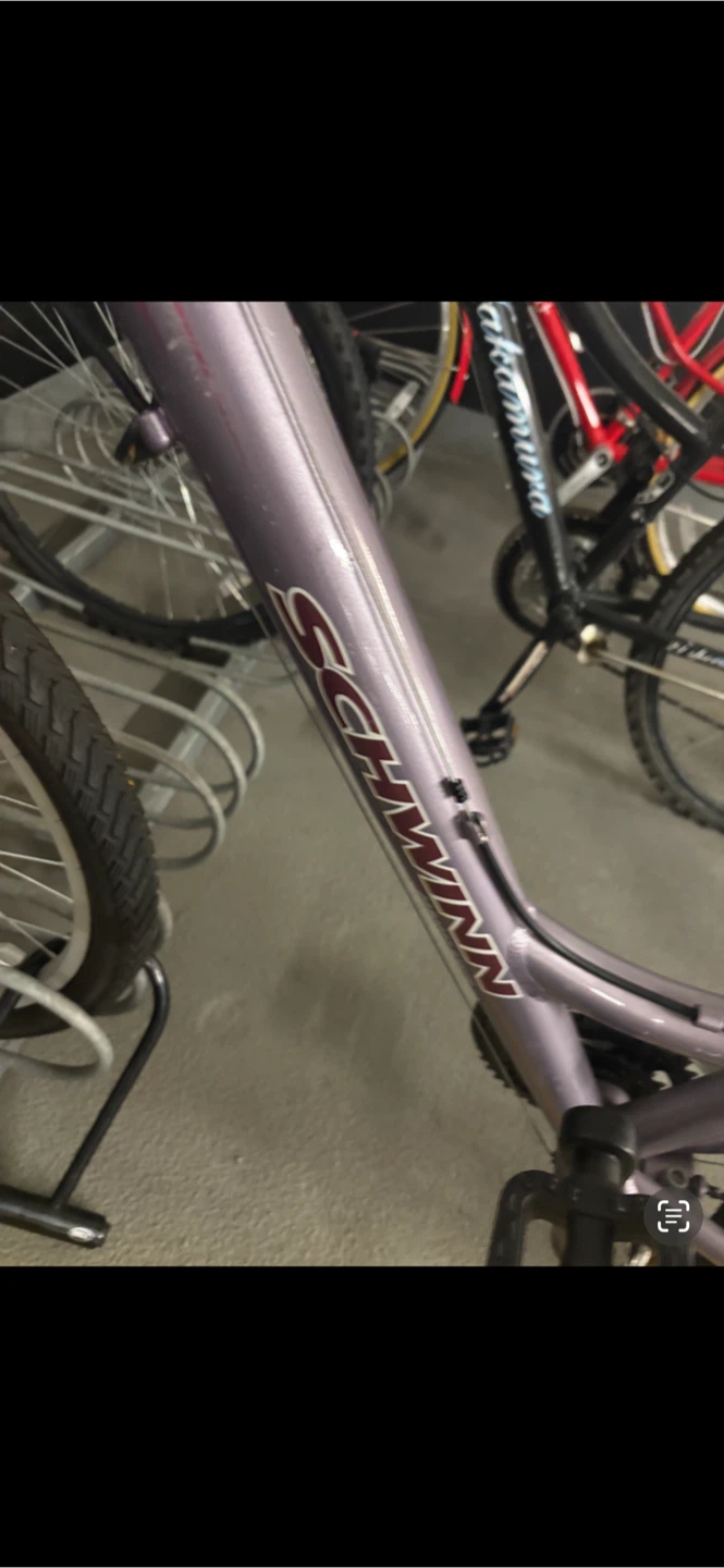Schwinn Women's Cruiser Bike - photo 3