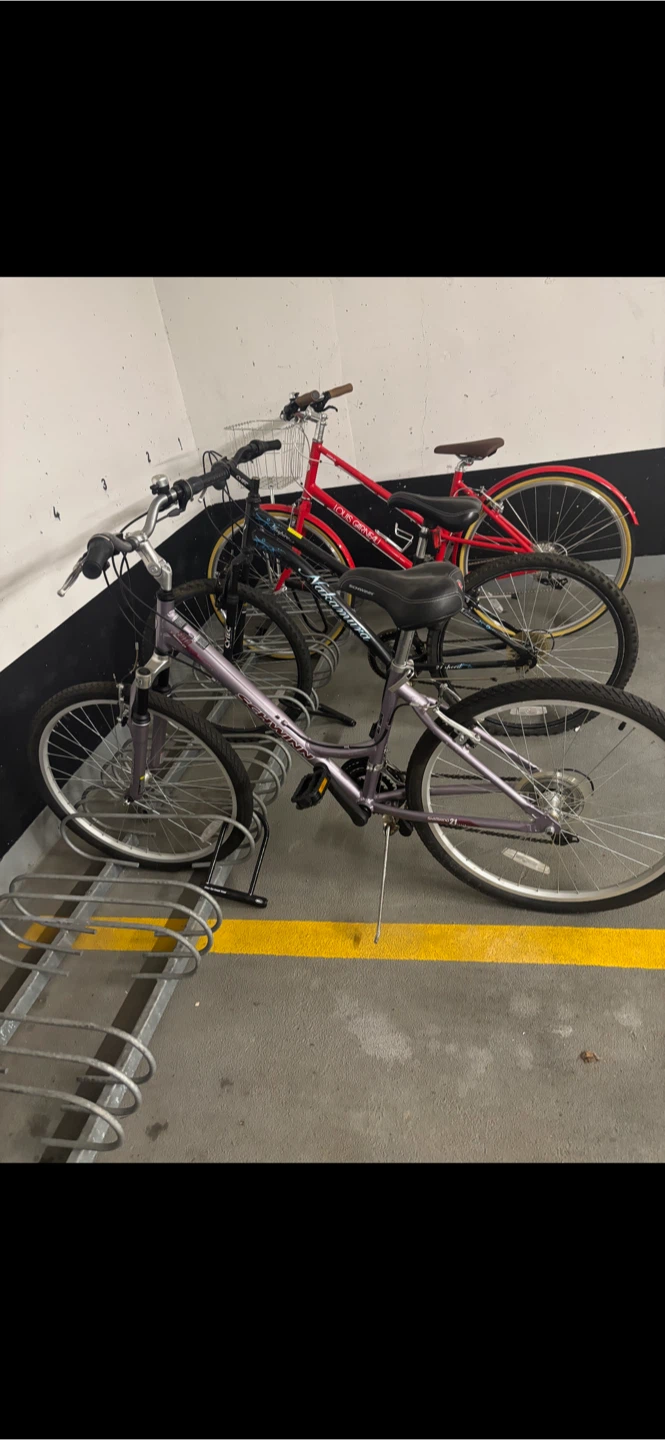 Schwinn Women's Cruiser Bike - photo 4