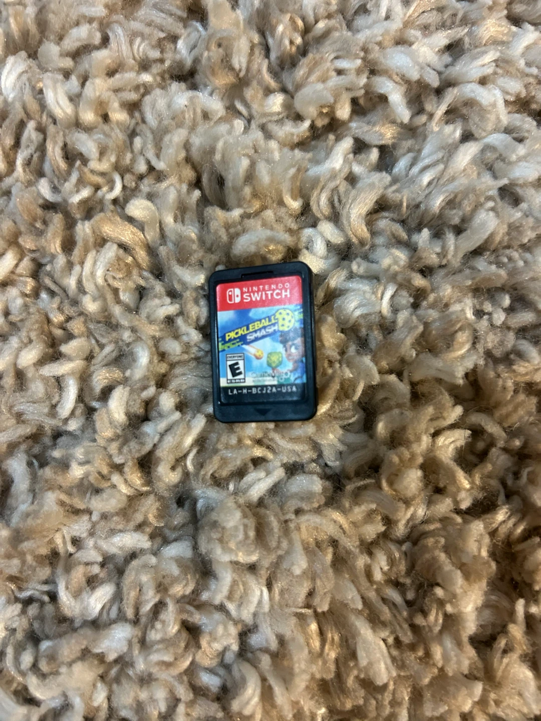 PickleBall Smash Nintendo Switch - photo 4