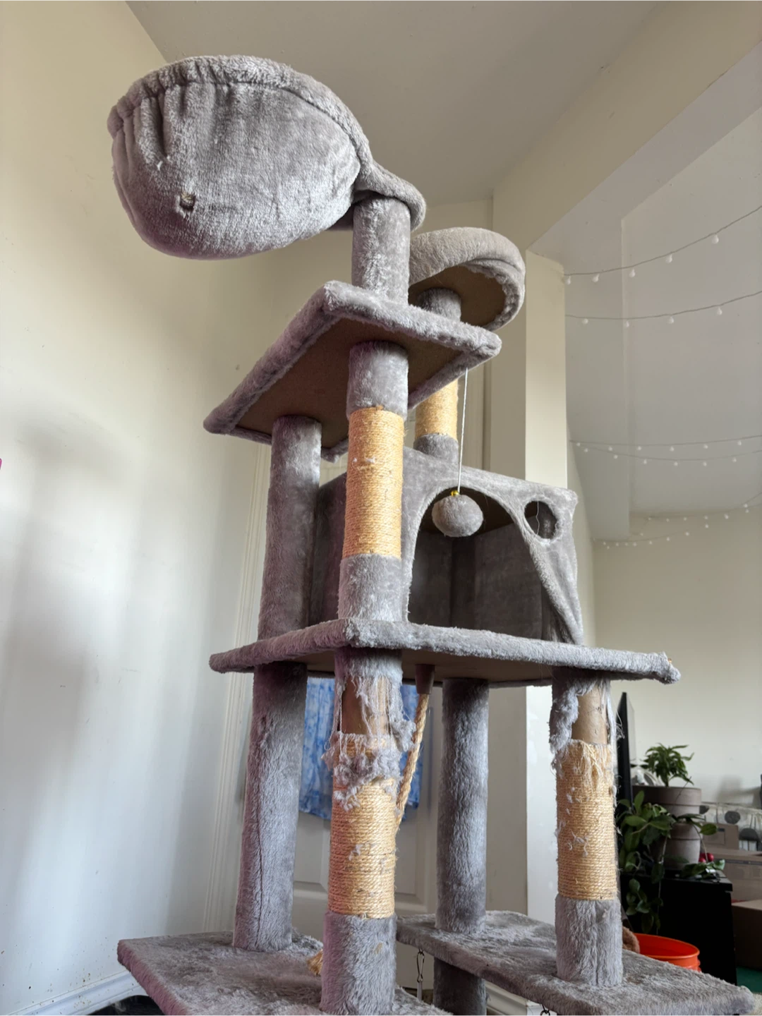 Free - Used Cat tree - photo 3