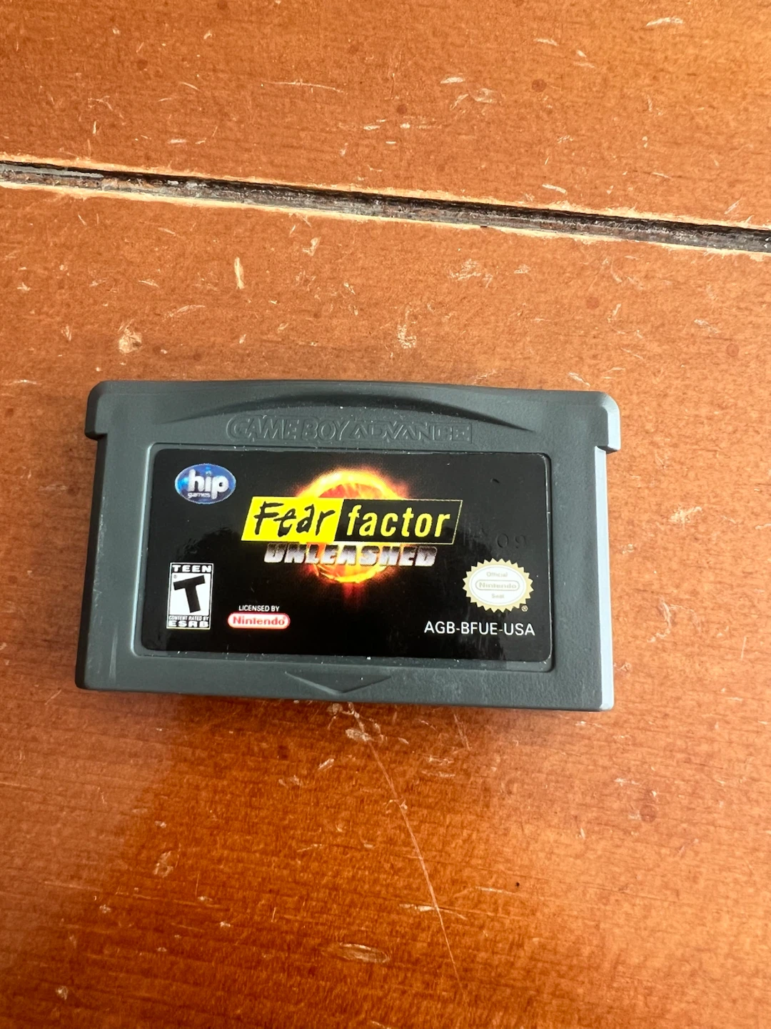 Gameboy Advance- Fear Factor