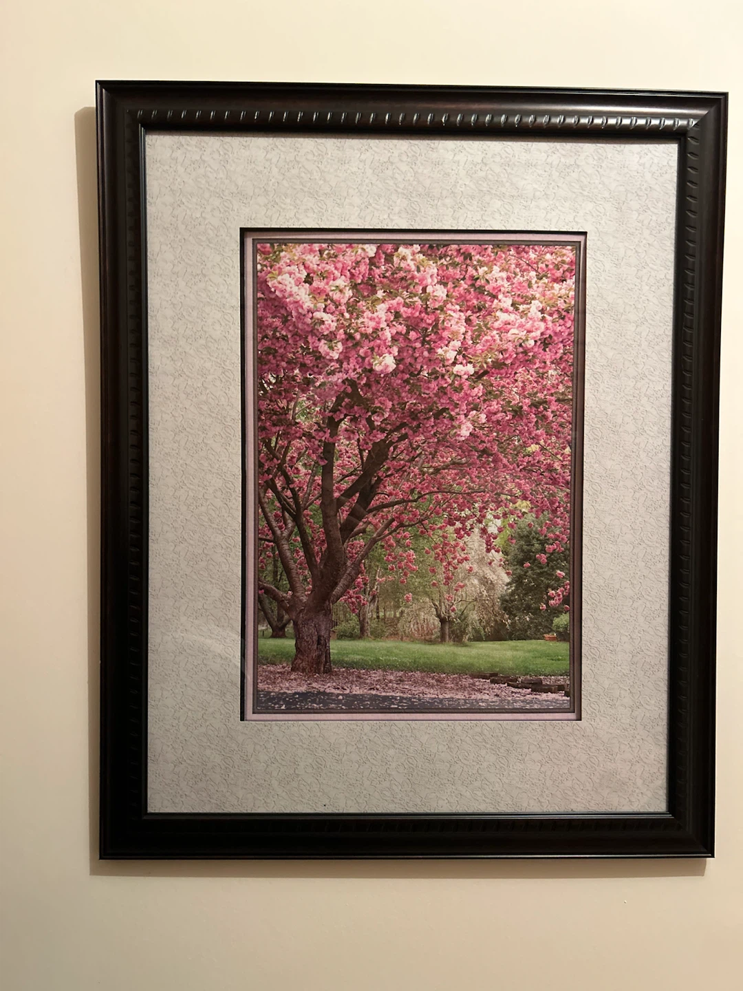 Framed Picture of Pink Blossom Tree