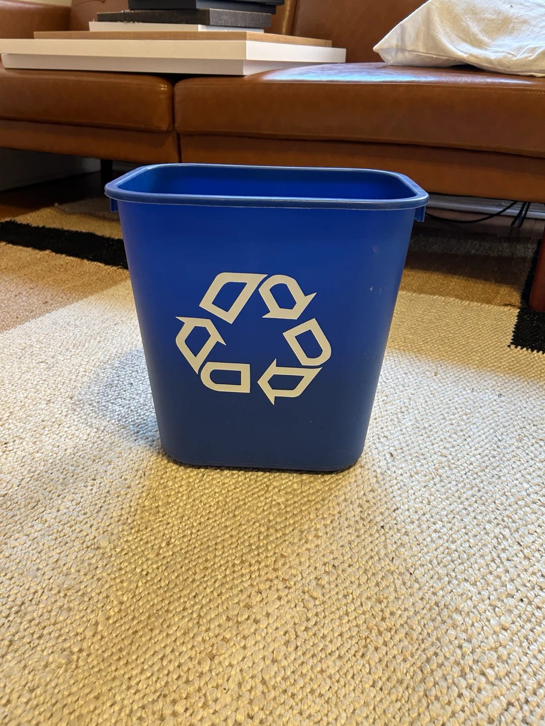 Blue Plastic Recycling Bin