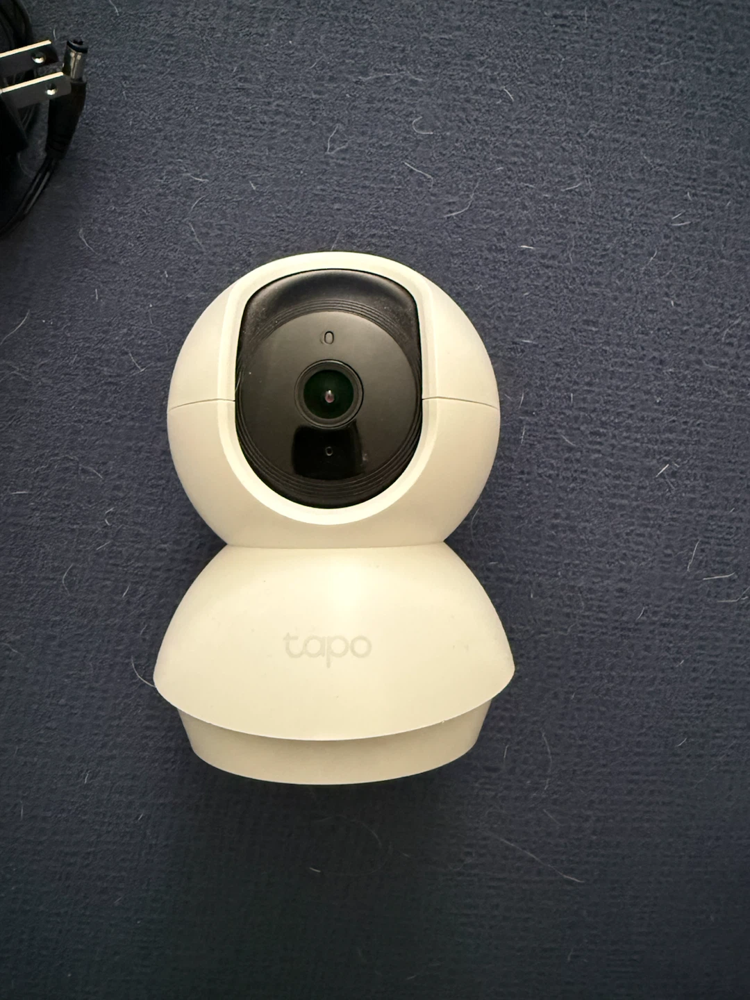 Tapo dog camera