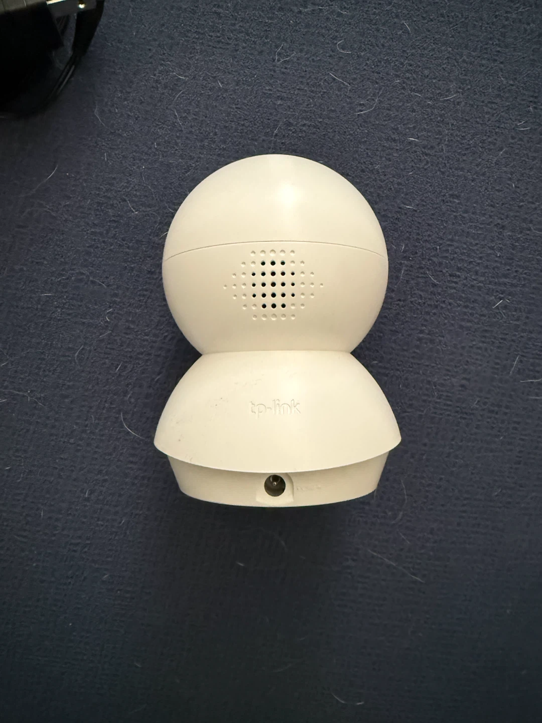 Tapo dog camera - photo 3