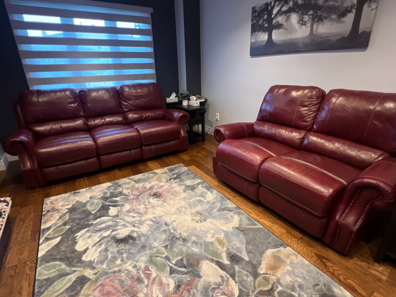 Red Leather Reclining Loveseat and Sofa Set