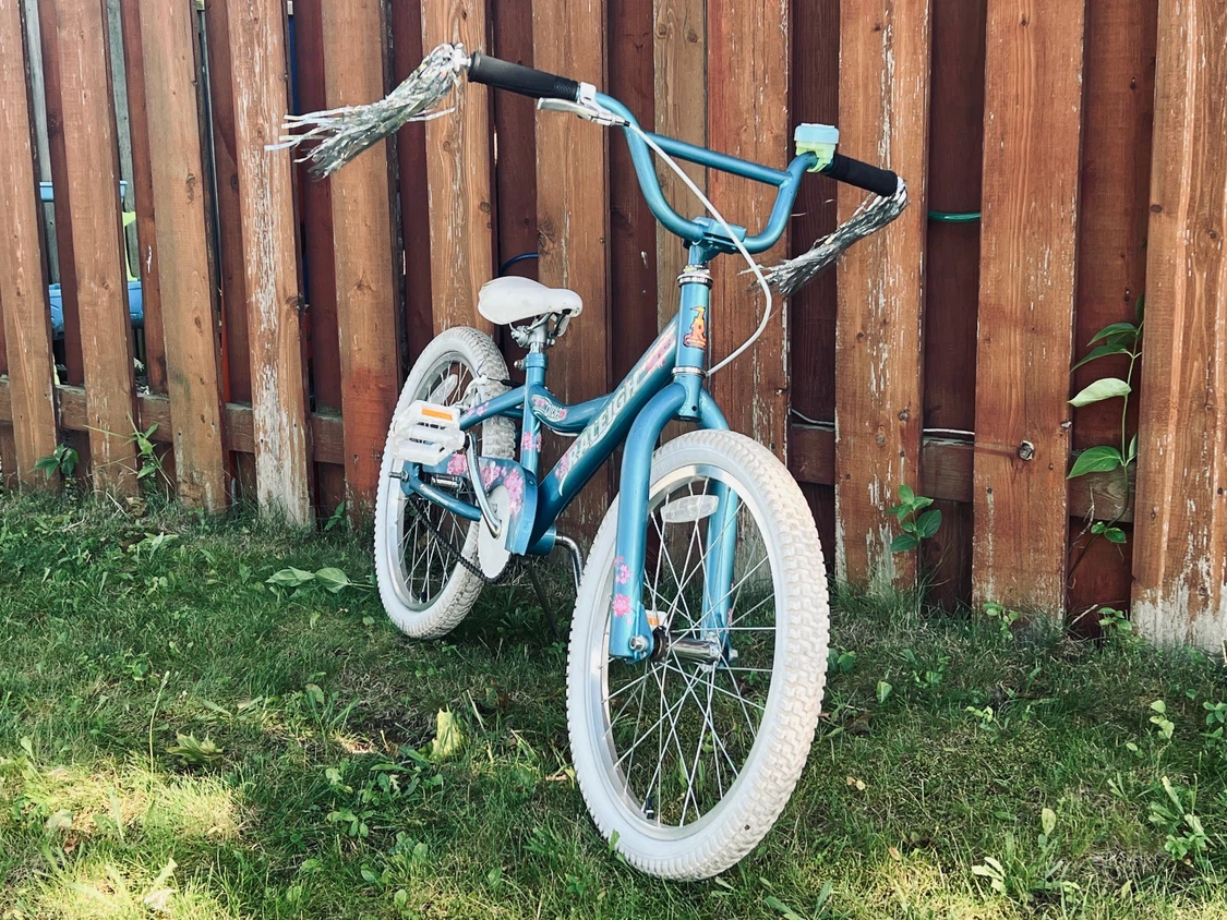 Raleigh Girls, 20 inch bike - photo 3