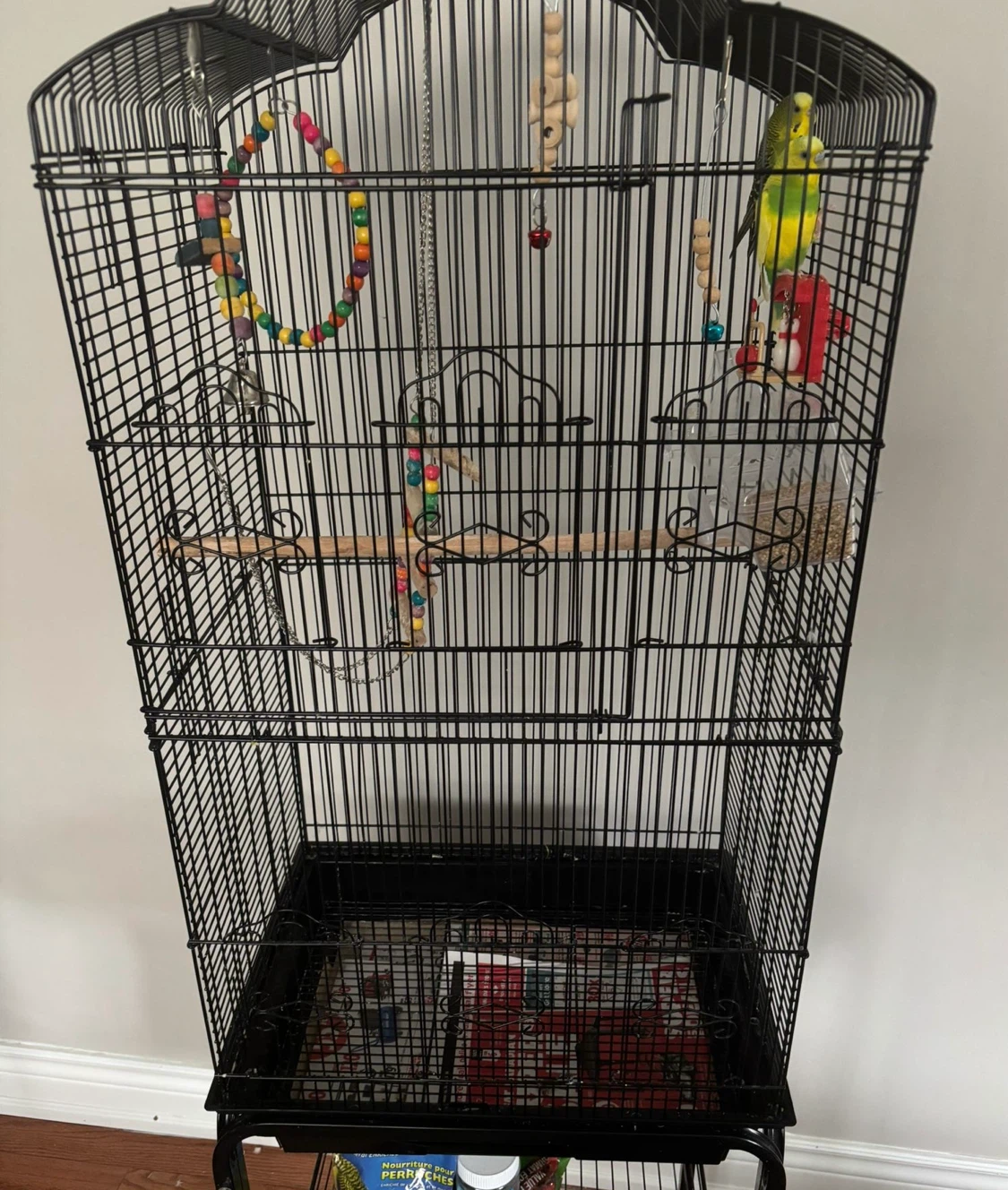 Black Bird Cage with Accessories