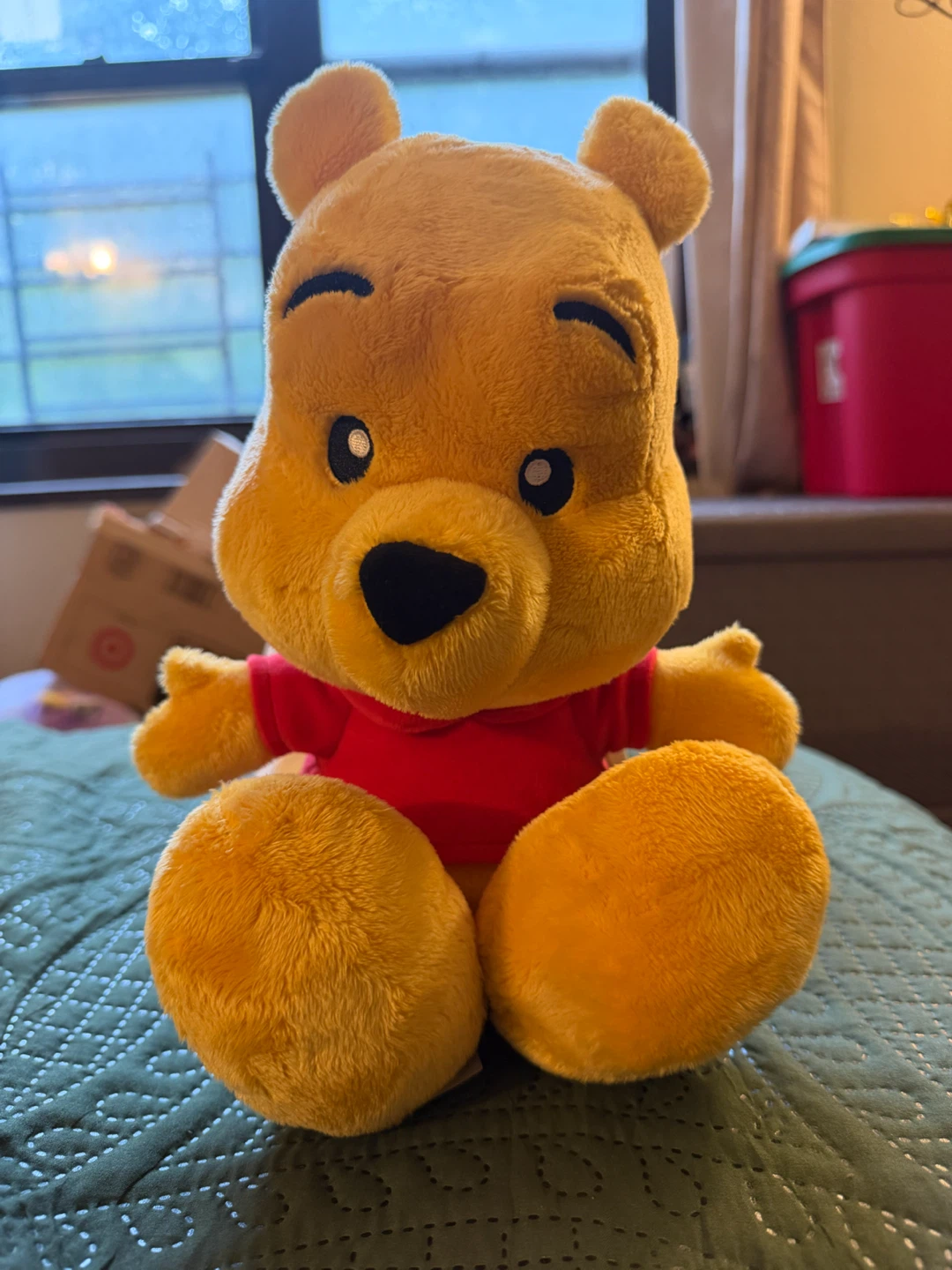 Disney Winnie the Pooh Plush Toy