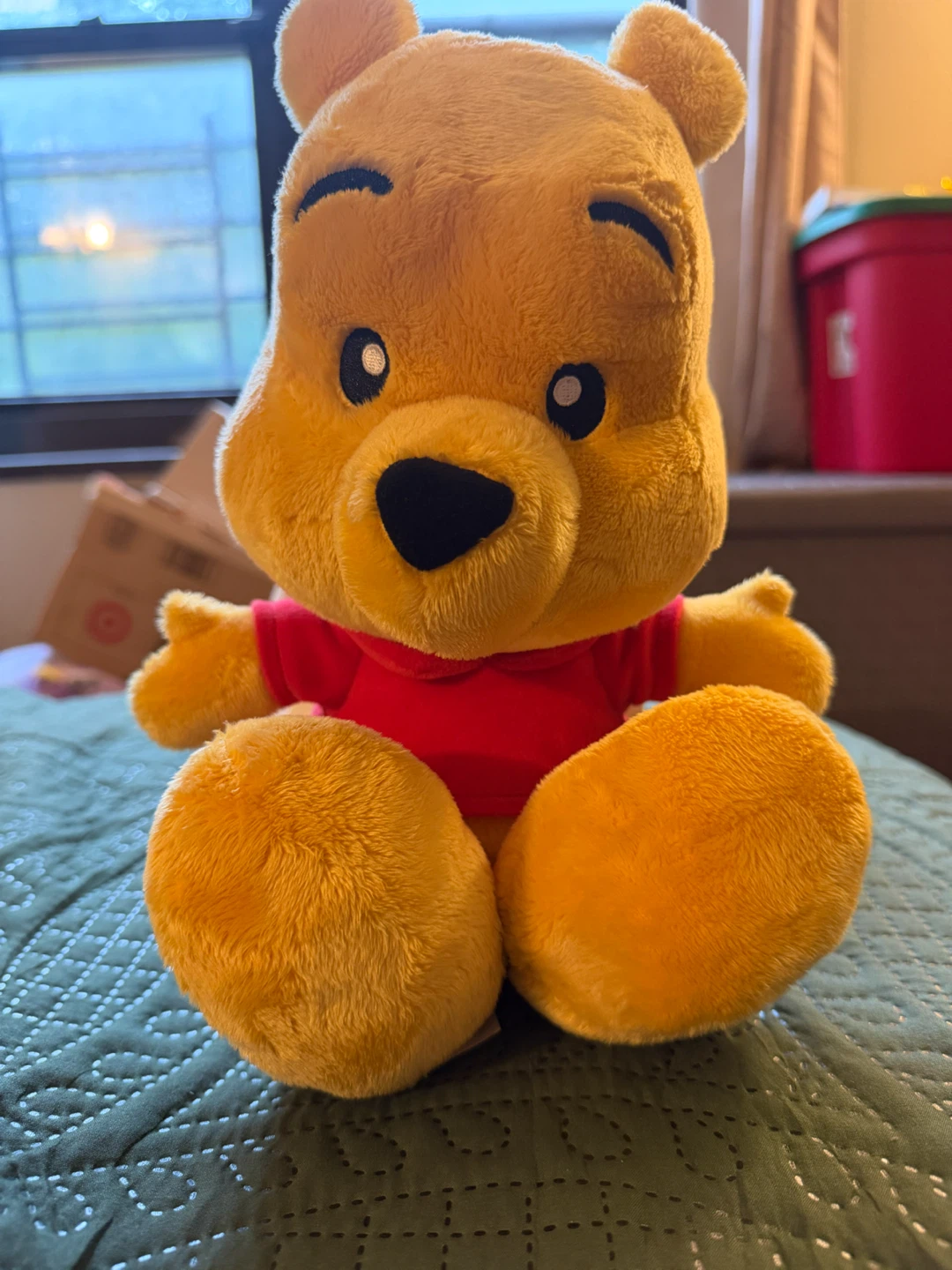 Disney Winnie the Pooh Plush Toy - photo 2