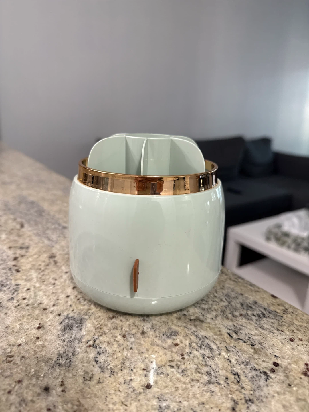 Light Green Makeup Organizer with Lid - photo 4