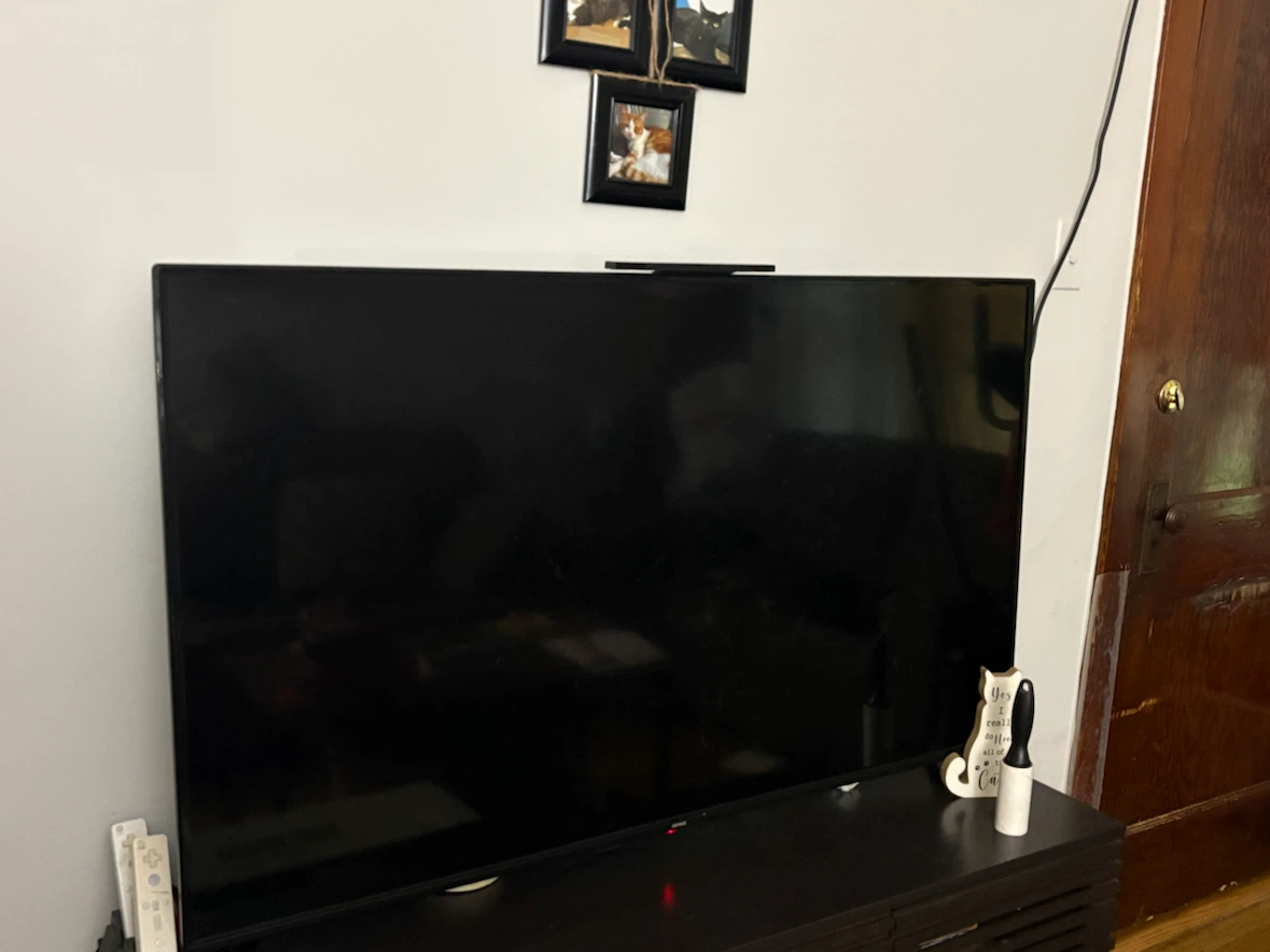 Large Flat Screen Television