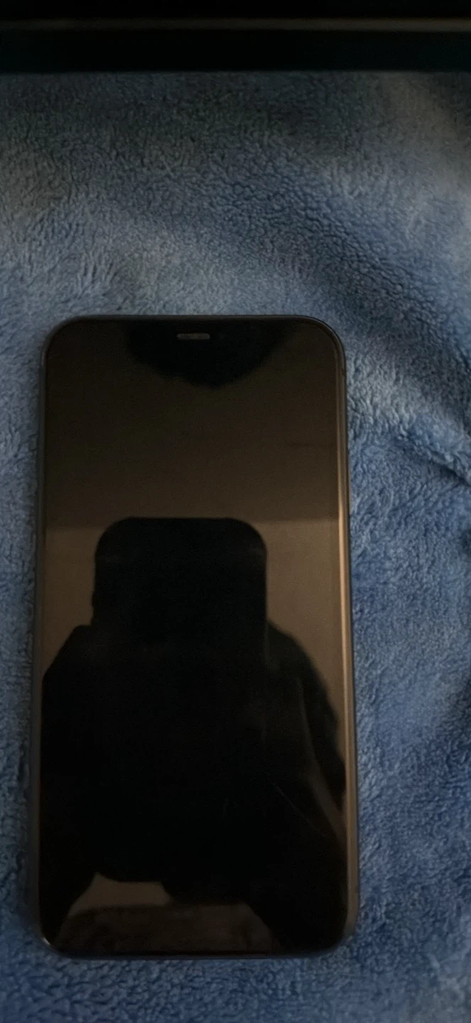 iPhone 11 - photo 3