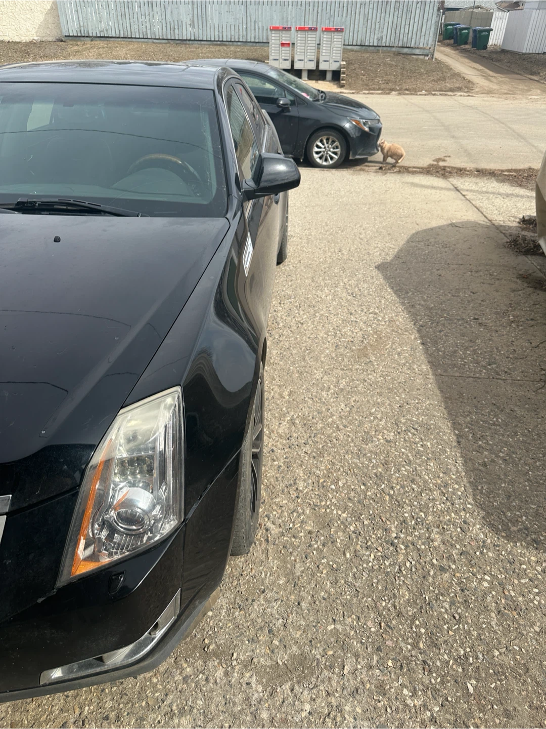 2009 cadillac cts 3.6 - photo 2