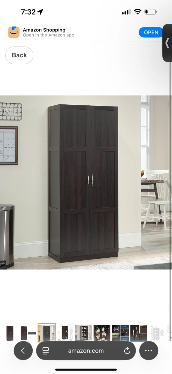 Storage Cabinet with Doors - photo 3