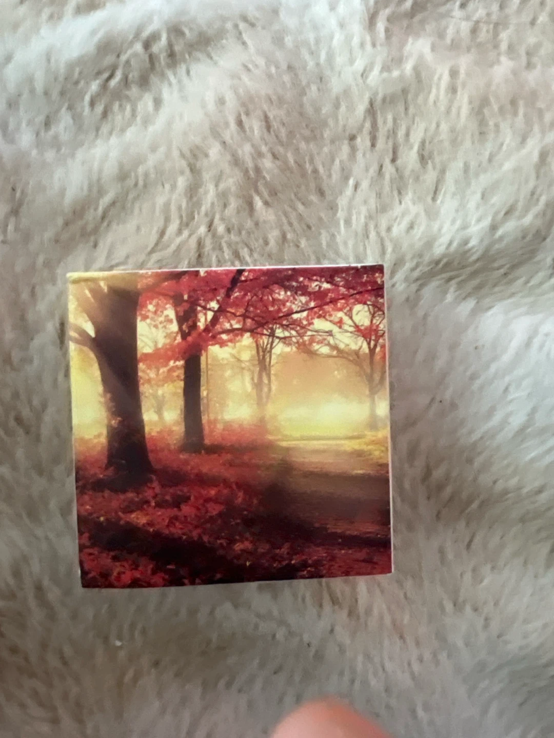 2019 Fine Silver Coin - Maple Leaves