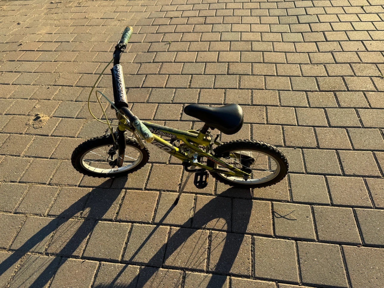 Rattlesnake BMX Kids Bike