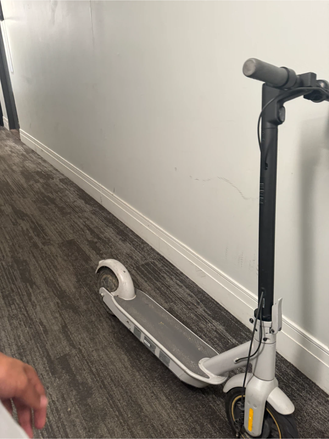 Segway Ninebot Electric Scooter