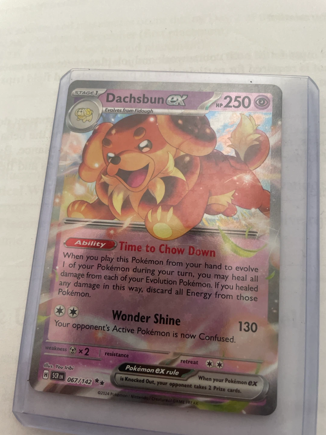 Dachsbun EX Pokemon Card