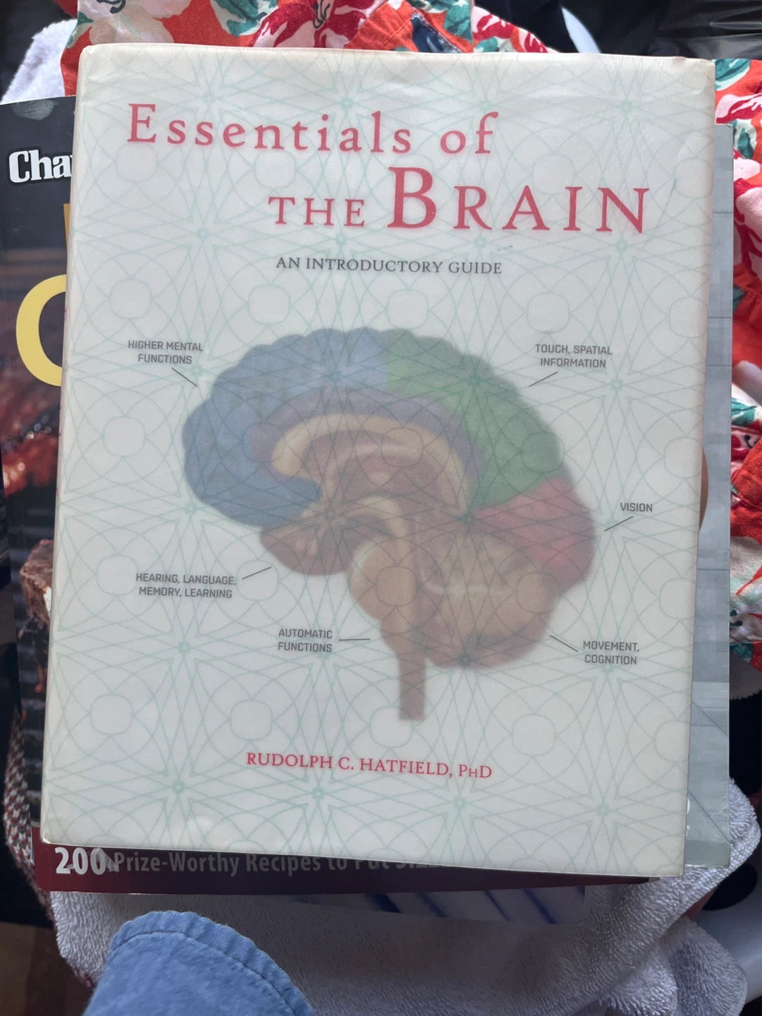 Essentials of the Brain: An Introductory Guide
