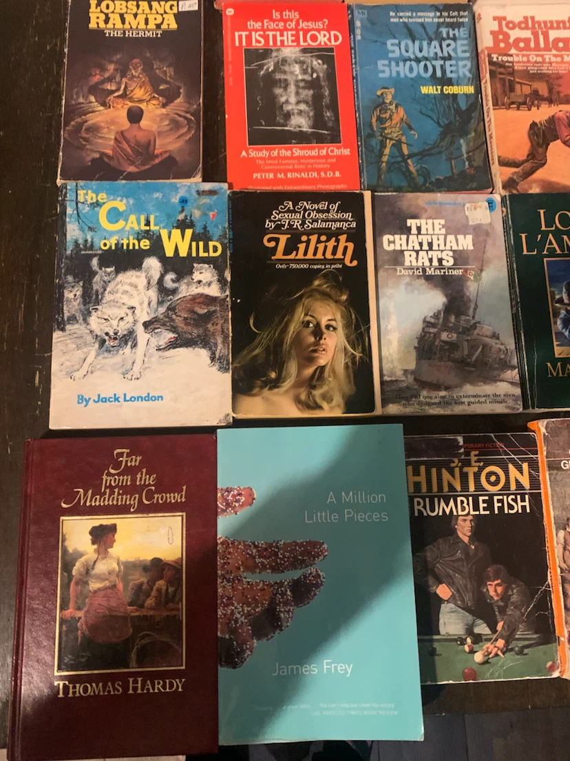 Collection of classics. $5each or Lot for $80 - photo 4